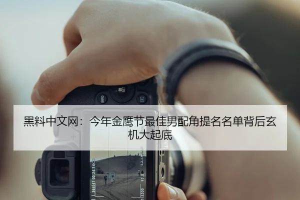 黑料中文网：今年金鹰节最佳男配角提名名单背后玄机大起底